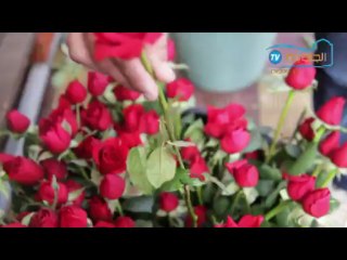 أروع ما قيل عن المرأة التونسية