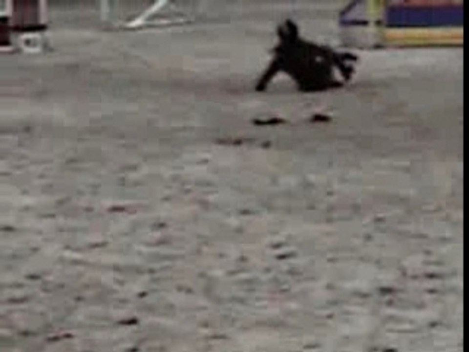 chute