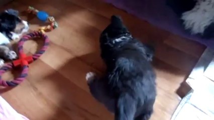 bébé rouge à 5 semaines (avec sa maman)