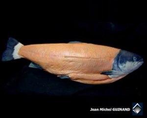 Moulage accessoire saumon