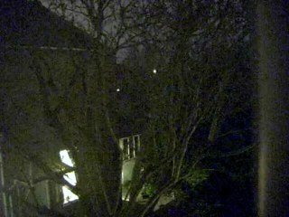 Strange Lights In Garden