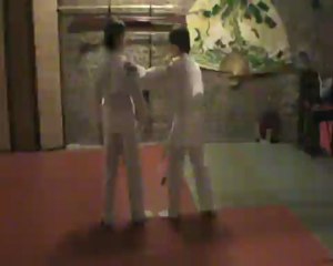 Gyaku hanmi kata dori henka oshi