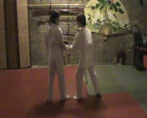 Gyaku hanmi hiji dori