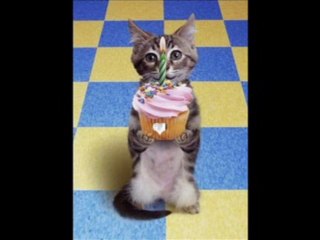 Mesut Doğum Günü 2013