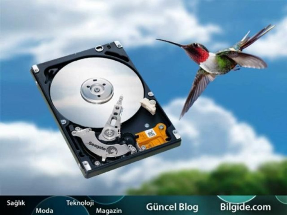 Güncel Bilgiler Data