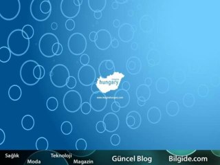 Güncel Döviz Kurları Blog