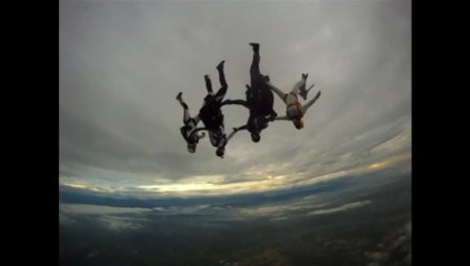 Cigognes chute libre : saison 2012