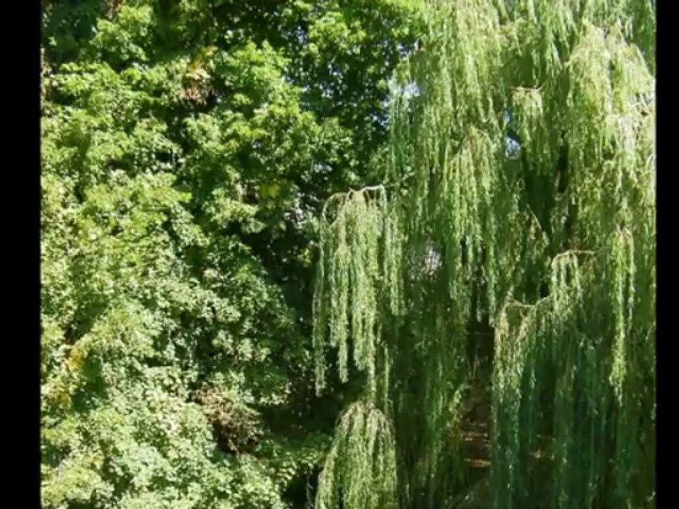 petite balade dans St Laurent à l'heure de la sieste
