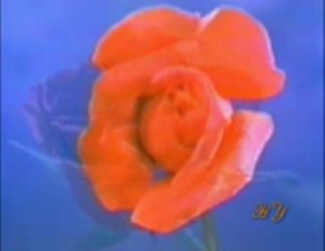 Evrimciler İtiraf Etti : Fosiller Evrimi Reddediyor