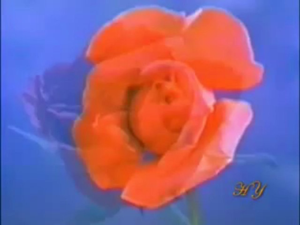 Evrimciler İtiraf Etti : Fosiller Evrimi Reddediyor