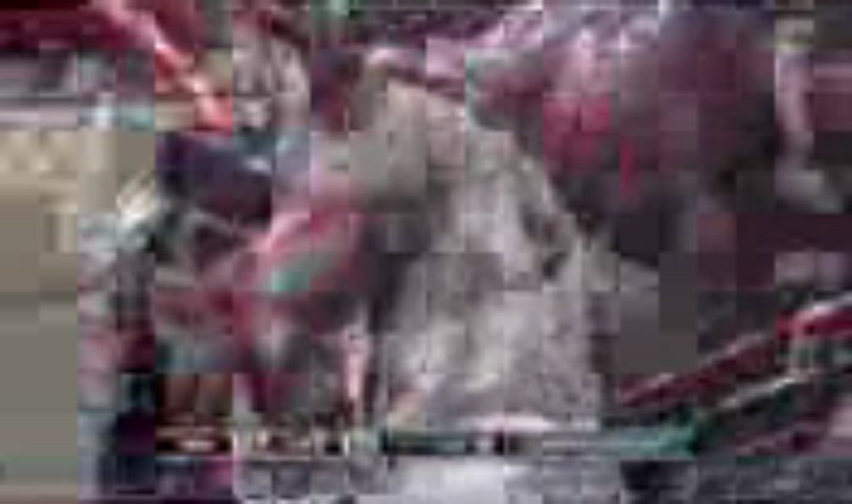 타짜카지노✲✳✴BAC666.COM ✴✳✲ 우리바카라