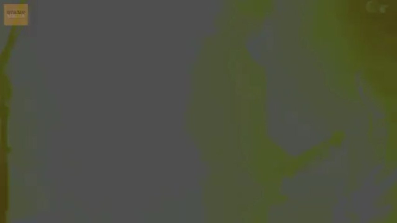 Elektronische drums? Geen denken aan!