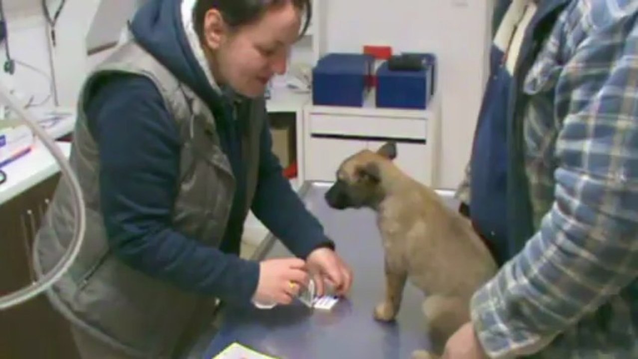 Be Aware FLEUR @ Vet