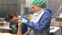 Pr Patrice Mangin. La médecine légale