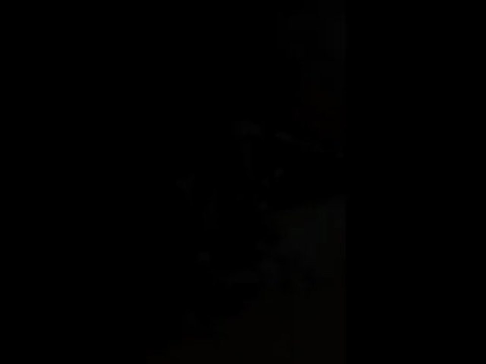 Harlem Shake