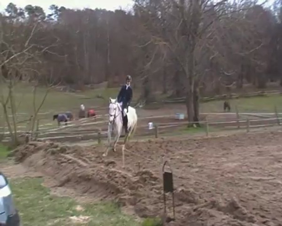 alicia et pins - dressage à vernoil 10 mars 2013