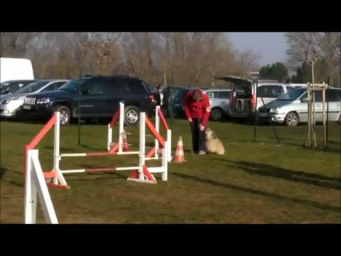 Anne-Lise & Volna TVA 3 mars 2013