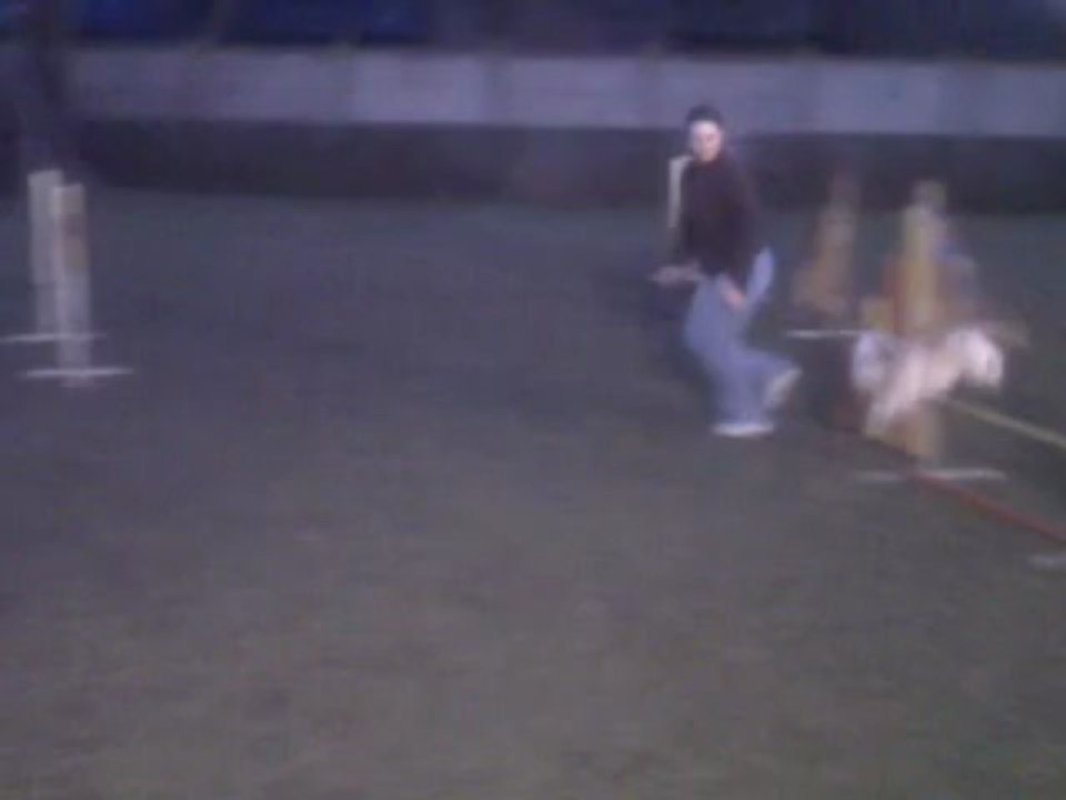 agility