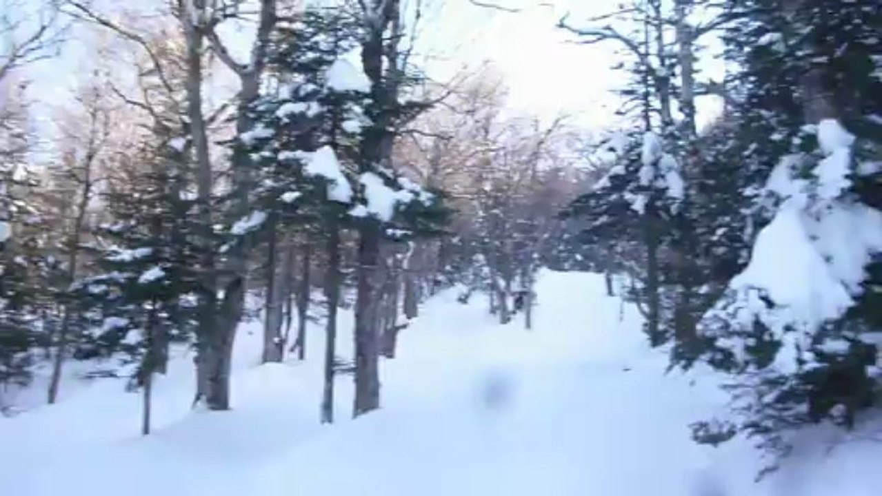 ski3foret