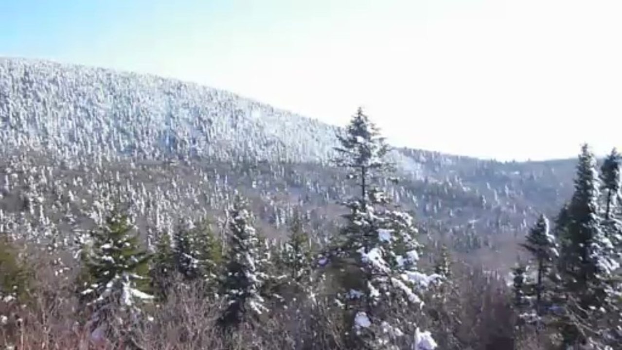 panorama mont sutton