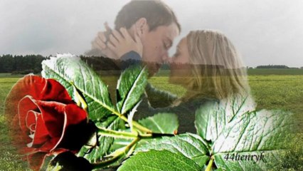 Pola zielone - Ireneusz Lament