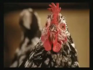 T'étais où hier au soir à 23 heures....