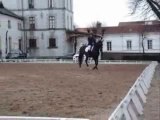 Hermine du chigny - Dressage club1 - Haras de La Roche s/yon 10/03/13