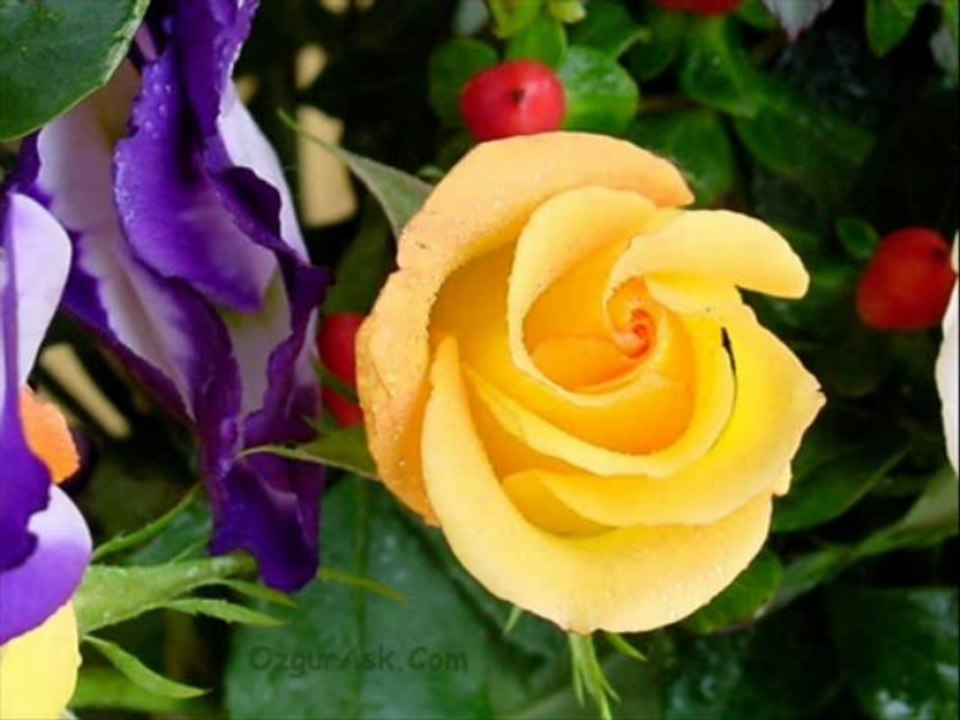 ferdi tayfur-koparma gülleri sesliguller.net seslichat