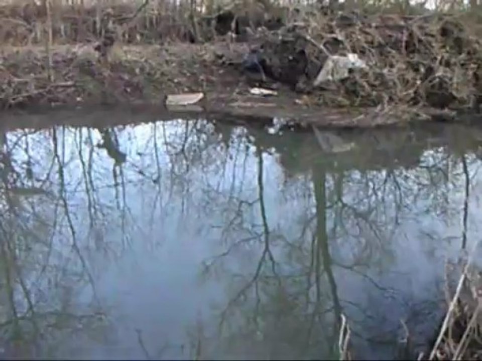 Pêche au coup dimanche 10 mars 2013