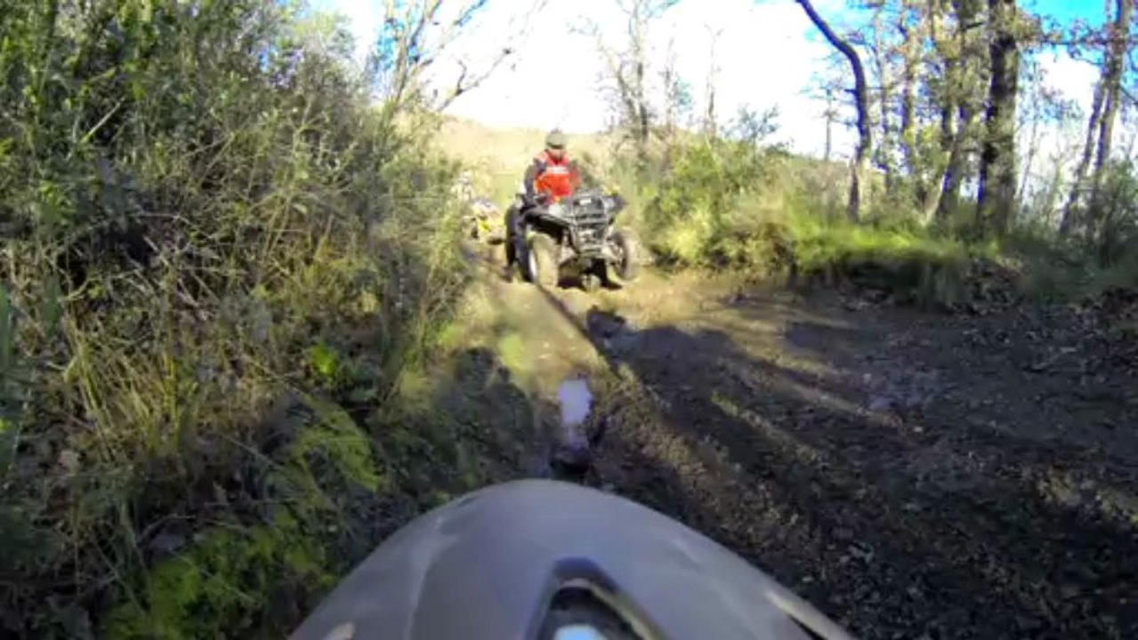 roco technique 1