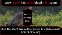 The Walking Dead Season 1 Episode 1 Days Gone Bye  Full Episode