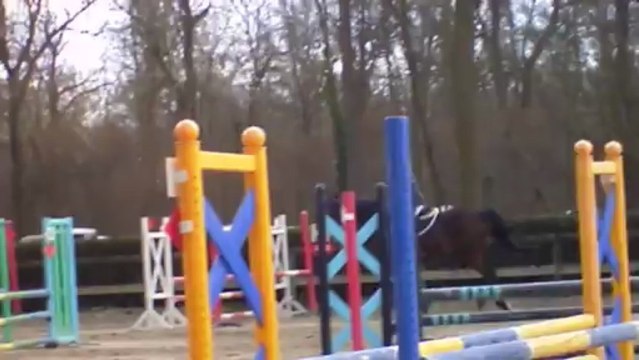 Karistan - Erstein - 10 mars 2013 - Club 2 GP