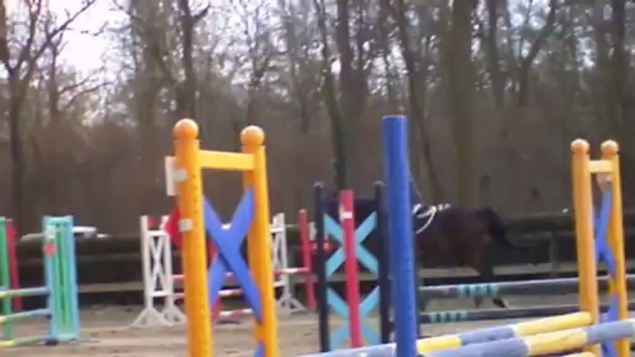 Karistan - Erstein - 10 mars 2013 - Club 2 GP