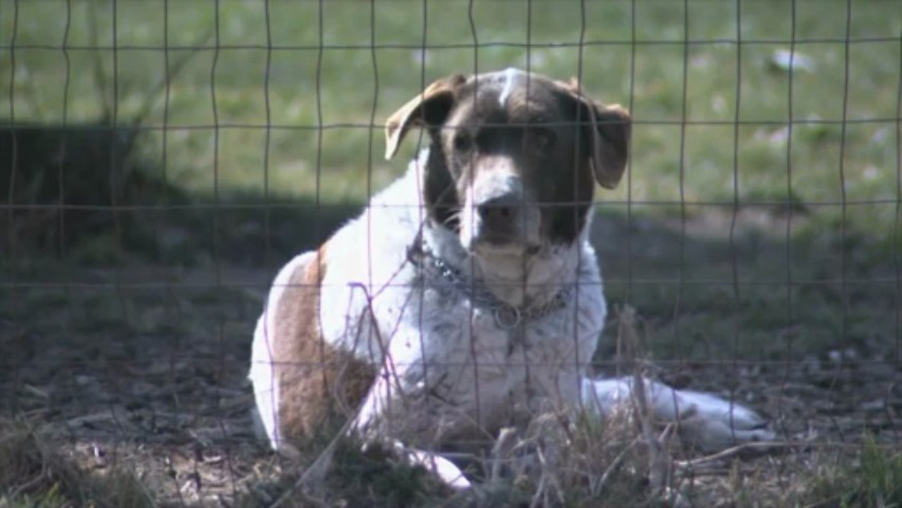 Warum tust du mir das an