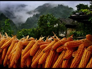 yusuf cemal keskin kemençesiyle