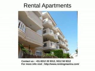 Rental Properties