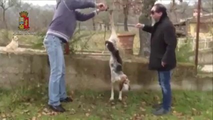 Roma - Gli agenti salvano un cane appeso ad una recinzione (07.03.13)