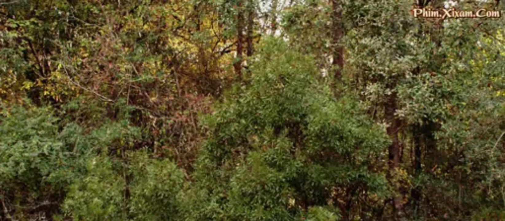 NgoiNhaBiAn2_clip2
