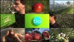 Minute Bio - L'innovation en agriculture biologique