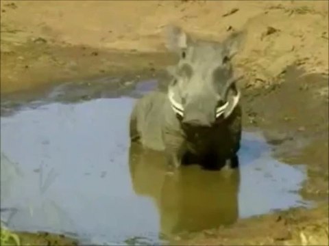 Sors de ton bain...Mathilde est revenue....