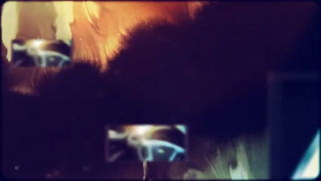 Platinum Chevy near Petaluma and a 2013 Chevy Tahoe near Sonoma