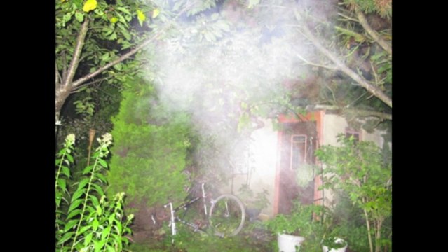 YVELINES DES BRUMES DANS LA NUIT