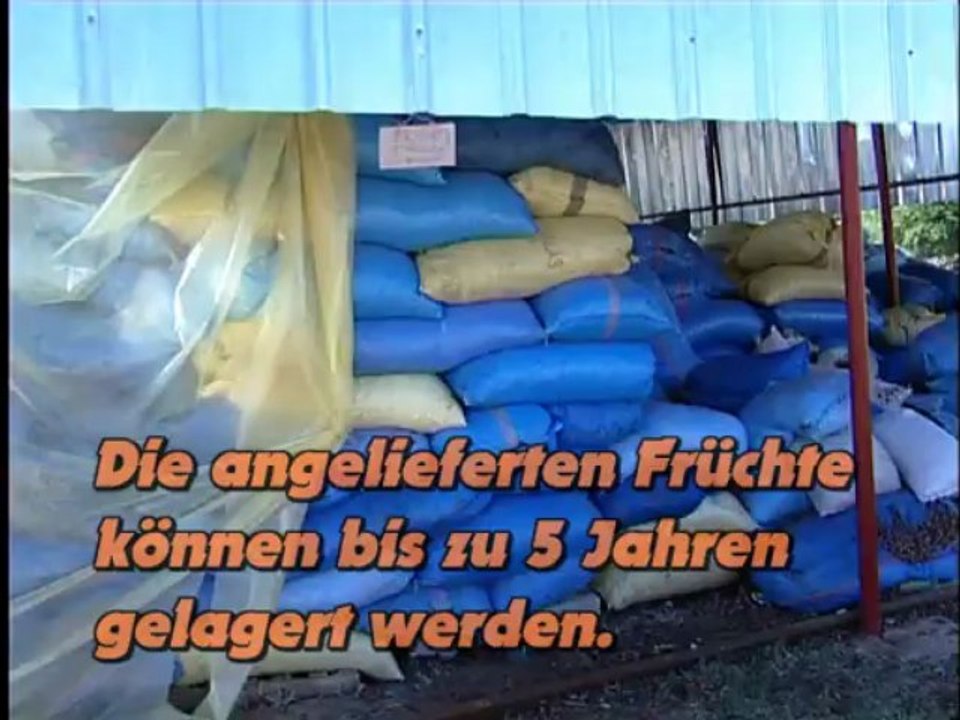 Production d'huile d'argan au sein de la coopérative toudarte akhsmou imsouane