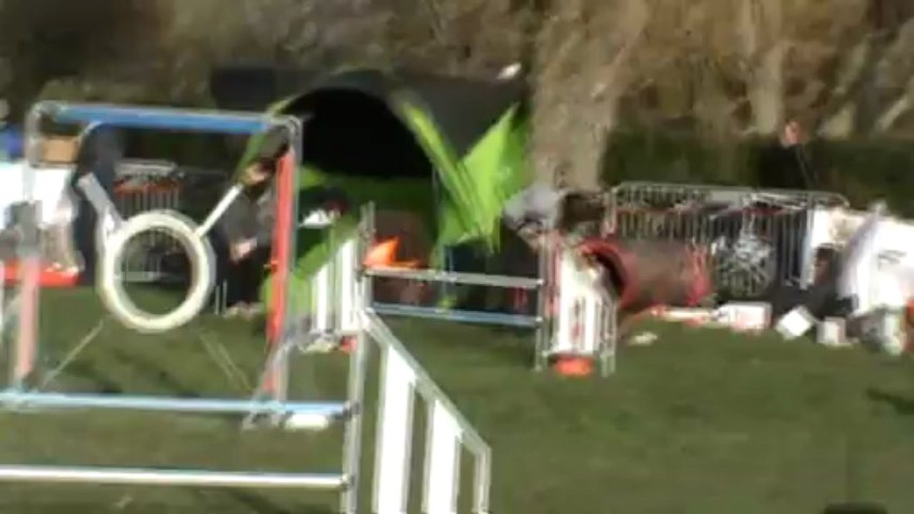 Given Jumping Checy 10 03 2013