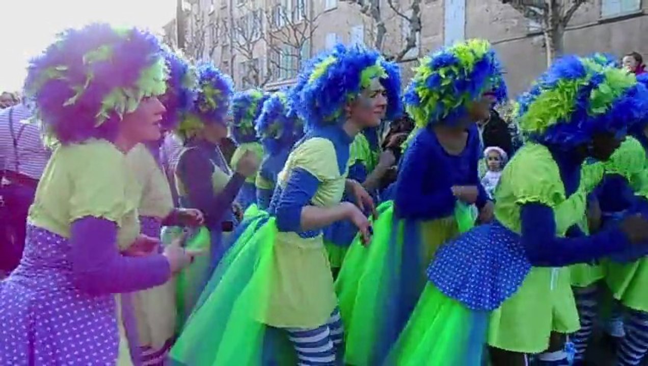 Carnaval de Romans 2013