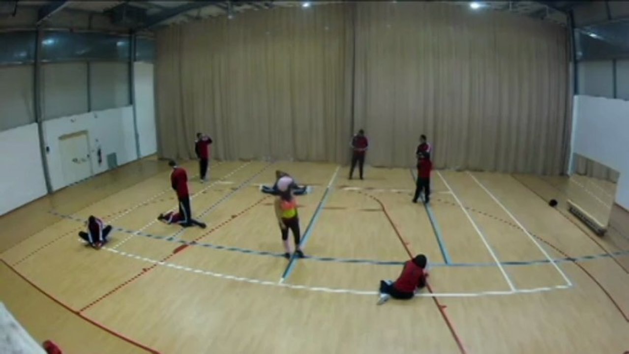 Harlem Shake du groupe acros des Acros du Rock