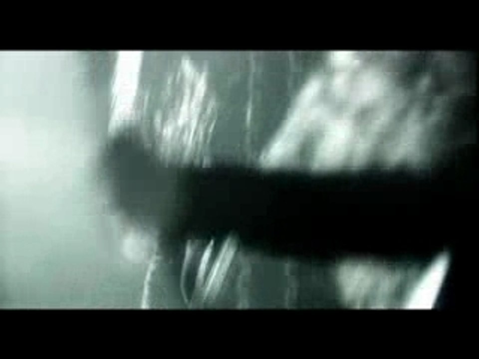 Naglfar - the perpetual horrors