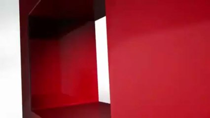 Une fouine perturbe un match de football en Suisse