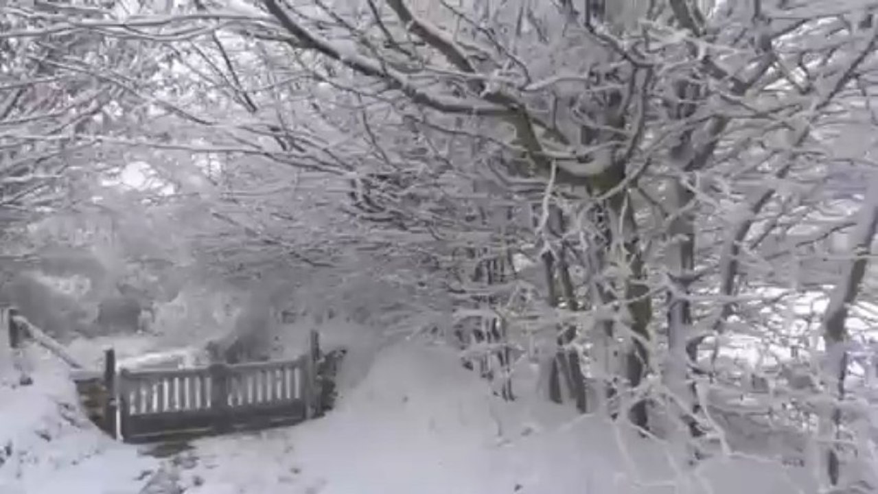 Neige mars 2013