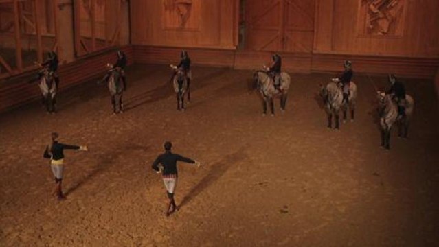 Académie du spectacle équestre de Versailles : entretien avec Laure Guillaume, écuyère